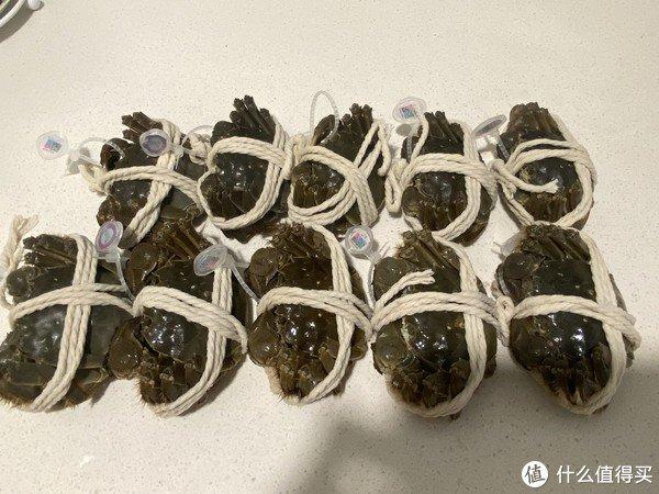 每一隻蟹子都用白色的繩子五花大綁著,雖然他們動彈不得,但是聽過觸摸