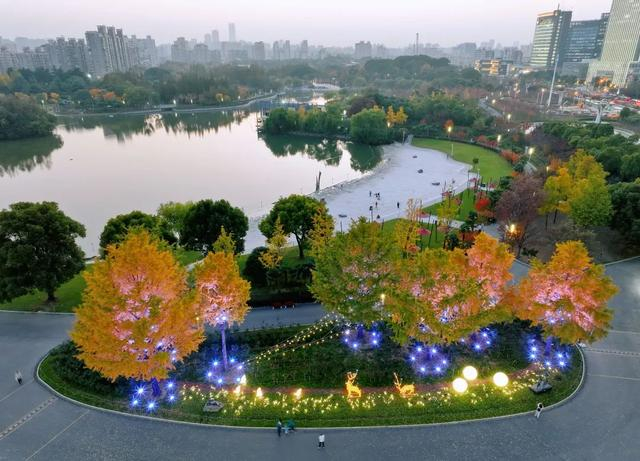 镜头里的静安|满屏金黄如画卷,来大宁公园,寻一处幽静,觅一份清欢