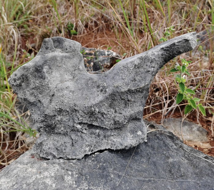 遇见石屏 | 漫漫山野 石中做乐