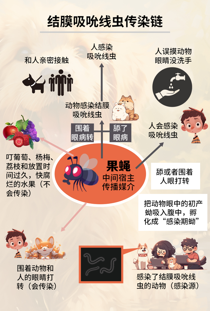 图源：厦门大学附属厦门眼科中心