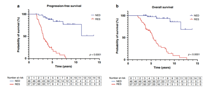 图2. NED组的中位PFS和中位OS均优于RES组