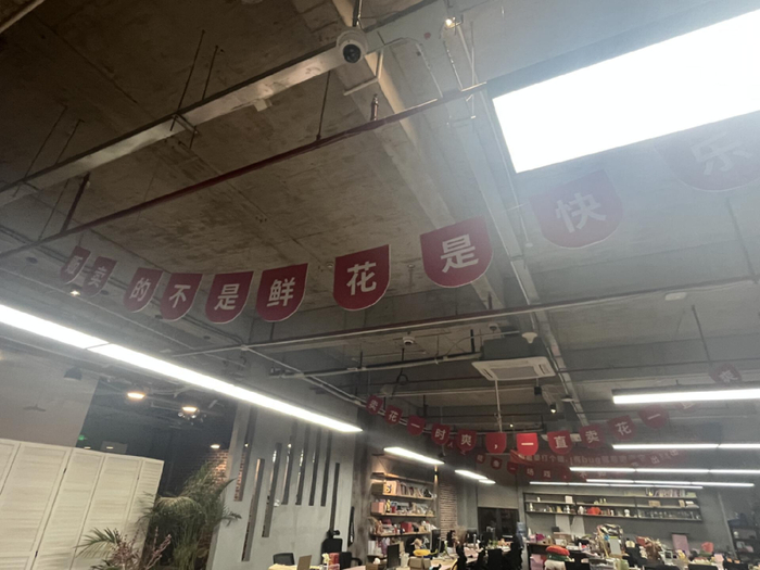 花加座右铭。摄影：陶淘