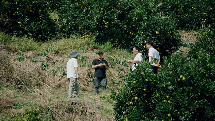 ▲余现伟在哀牢山找果子