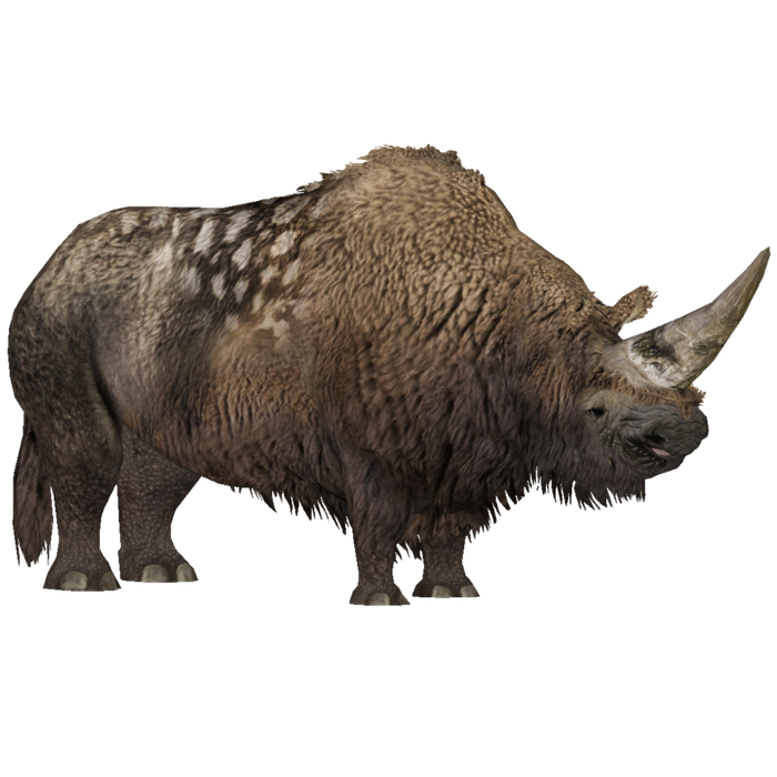 北方生存,它们的身上也长出了厚厚的毛发,而其中个体最大的就是板齿犀