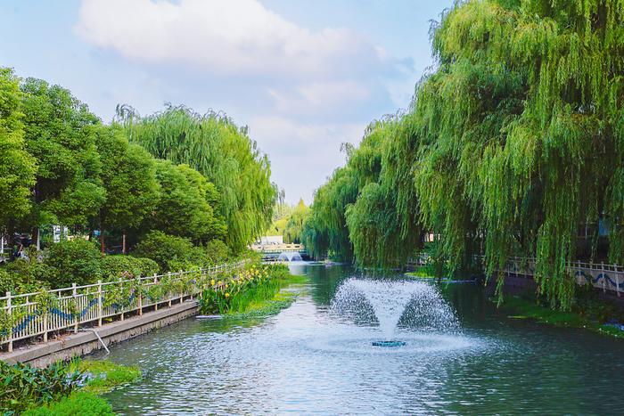 河面潔淨,河道整體景觀效果良好;水生植物覆蓋度較高,水生態服務功能