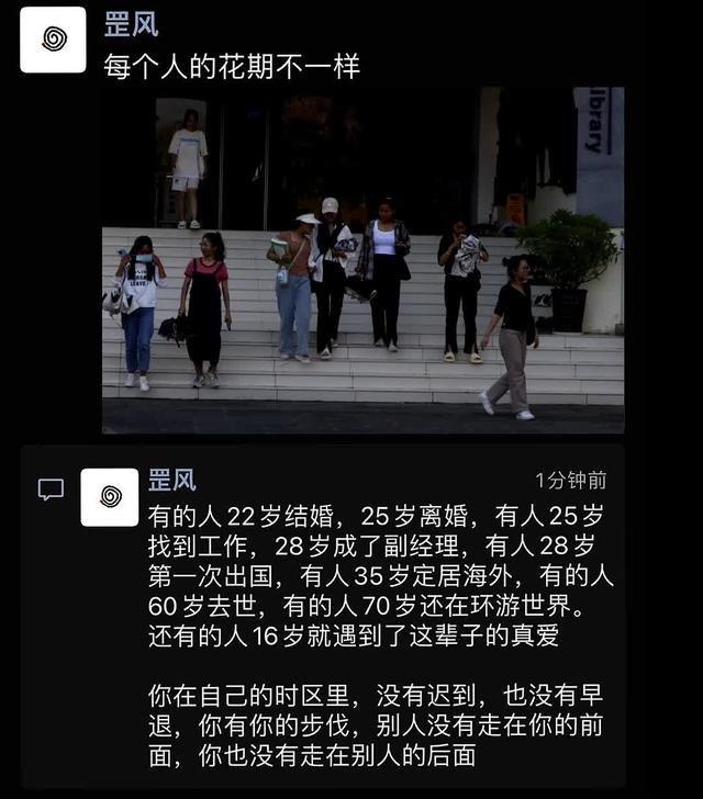 这个世界很好，但你也不差，每个人的花期不同……