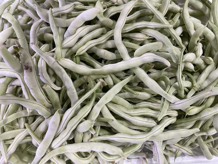 ▲图源：卡乐图片 贾琼 摄