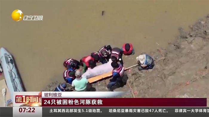 玻利維亞24只被困粉色河豚獲救