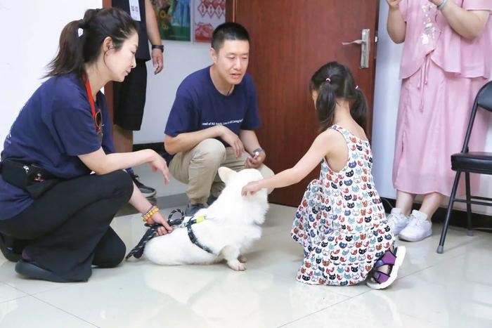 本年暑假,皆门关爱动物协会的诚的确公益课堂上指导小一又友何如与狗狗友好互动。受访者供图