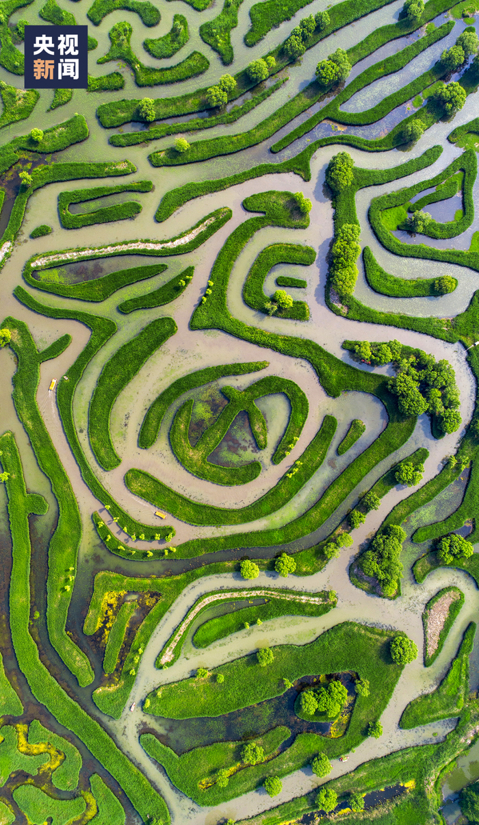 △盐城大纵湖水上迷宫