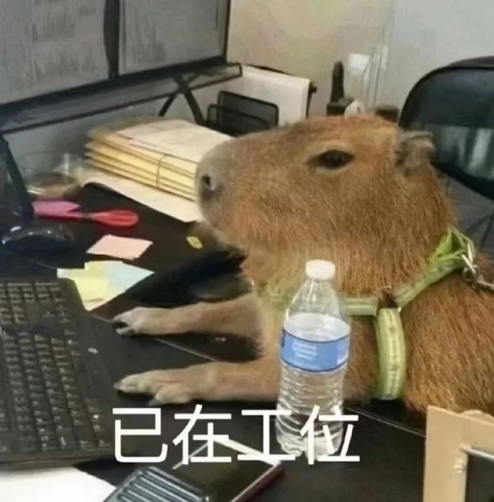 卑微"班味"人,凹人设自救