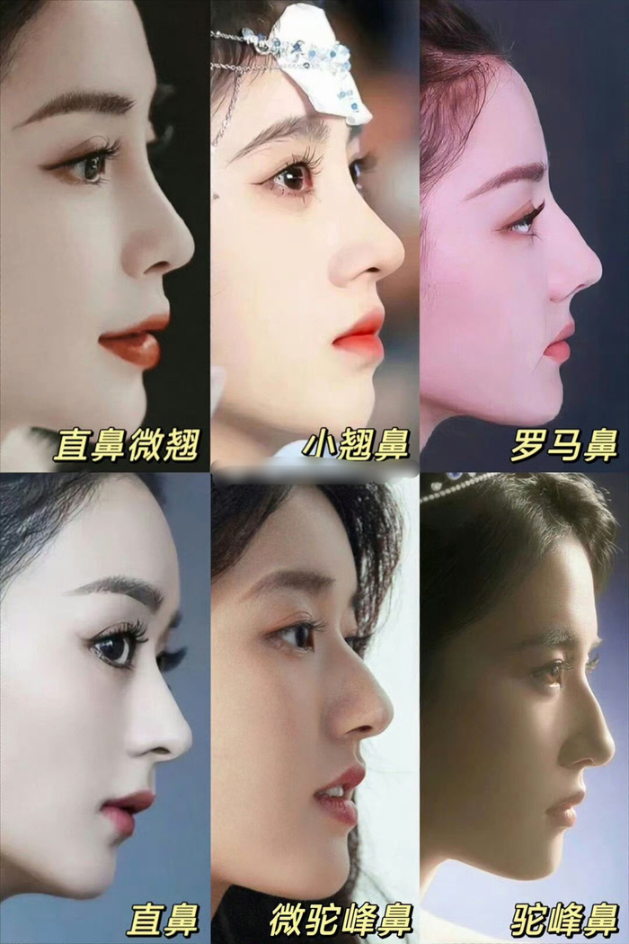 内娱公认最好看的鼻子就是刘亦菲的驼峰鼻吧|刘亦菲_新浪新闻