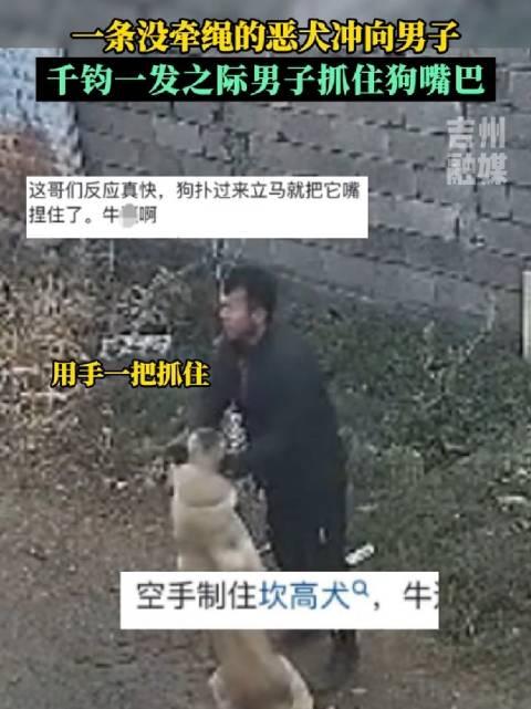 微吉州一條沒牽繩的惡犬衝向男子千鈞一髮之際男子抓住狗嘴巴