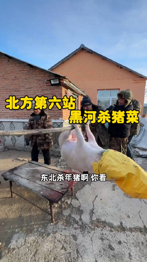 黑河大哥们有多豪爽?一言不合杀头猪,搞桌杀猪菜!