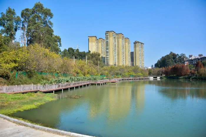 盘龙这个口袋公园你打卡了吗