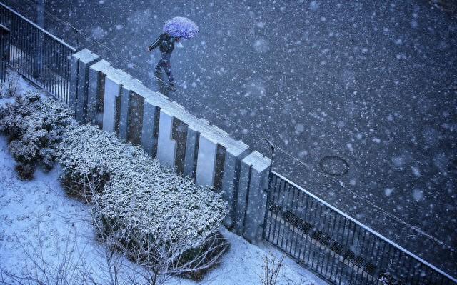 小雨转大雪图片