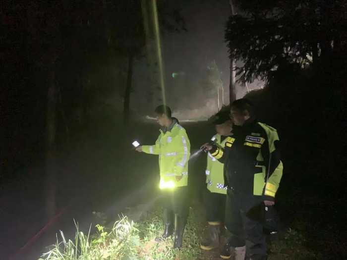 搜寻走失“候鸟”。（资料图）