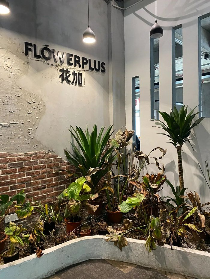 ▲ 没人照料后，花加门口的植物枯萎了不少。图 / 每日人物