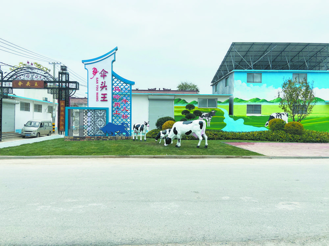 菏泽鲁西新区马岭岗镇文经融合融出乡村振兴好风景