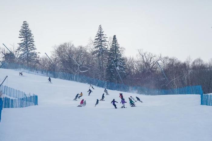 亚布力雪龙滑雪场图片