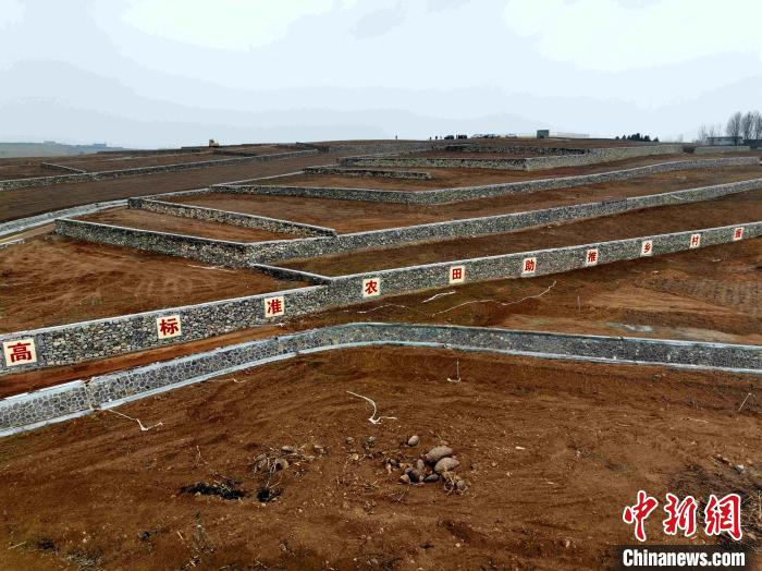 山东冬闲时节加快建设高标准农田夯实粮食安全根基