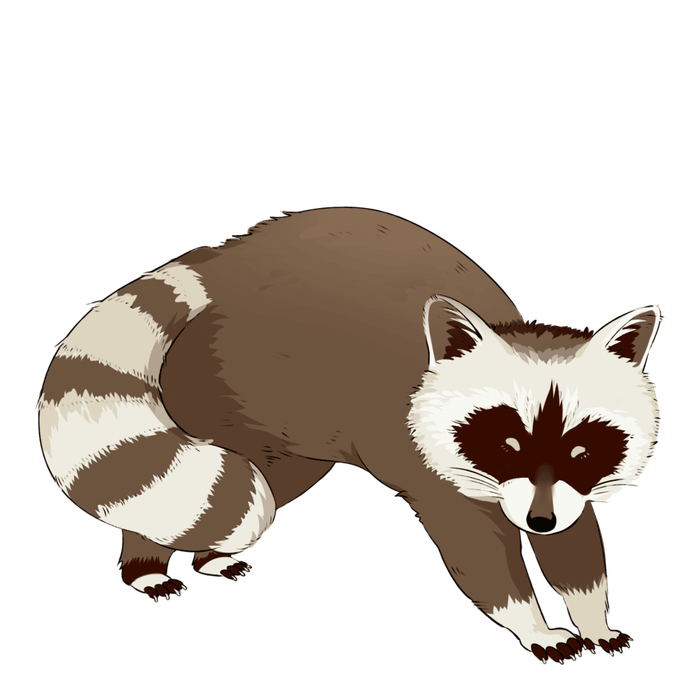 12月16日 动物侦探招募令 一齐来解锁动物界的密码吧!