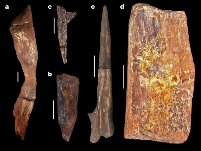 赞比亚卡兰博河发现50万年前的海德堡人木构