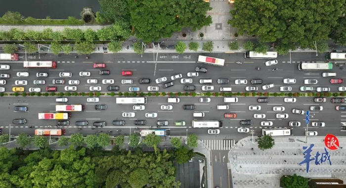 广州中山大道,解放北路增设非机动车道|非机动车|广州市|交警_新浪