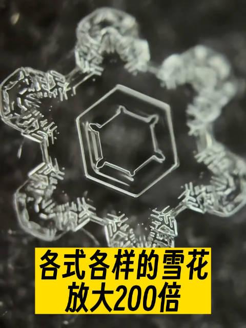 将各式各样的雪花放大200倍观看