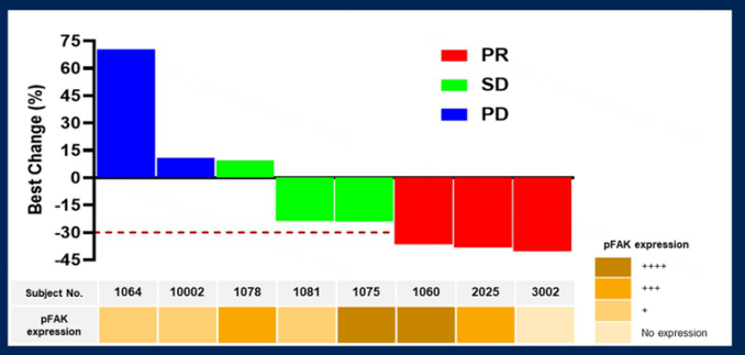 图2 pFAK表达结果