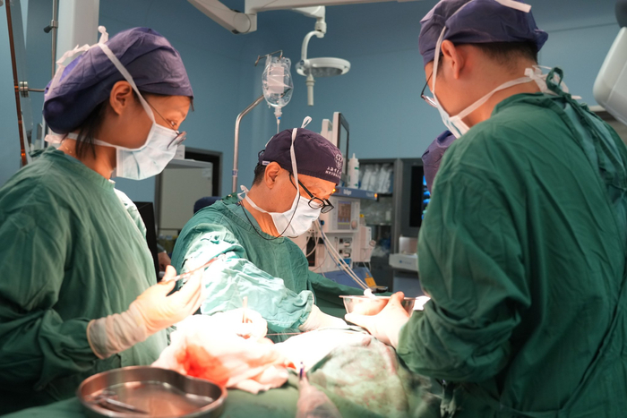 手术中。本文图片 上海市东方医院供图