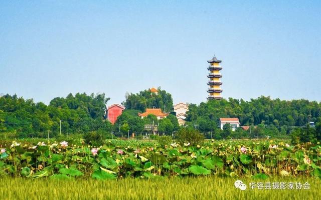 华容一日游最佳景点图片