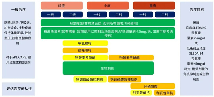 图1 系统性红斑狼疮的治疗