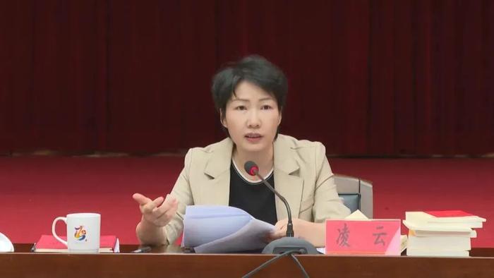 副厅级县委书记凌云,被查|海口市|凌云|人大代表_新浪新闻