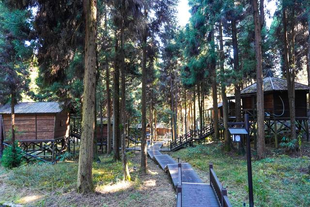 探秘北纬30度湖北坪坝营,一场清新的自然之旅|湖北省_新浪新闻