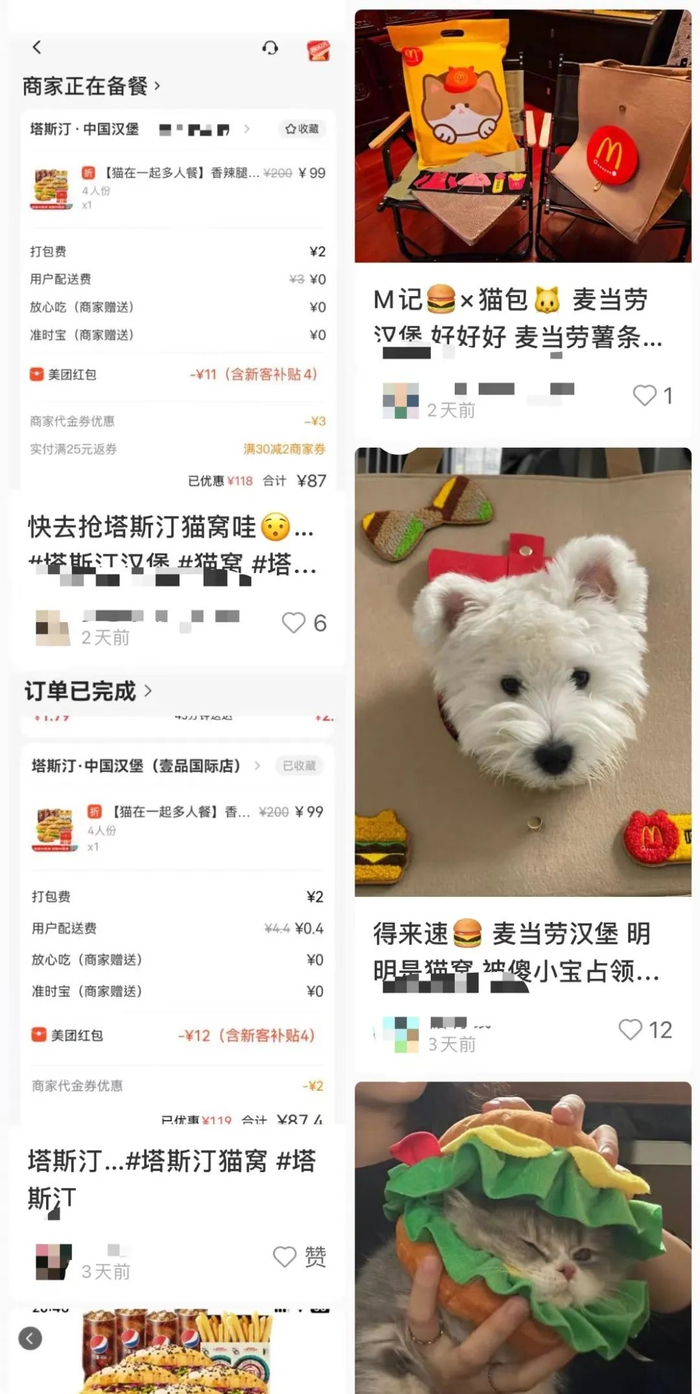 ▲来源：小红书截图