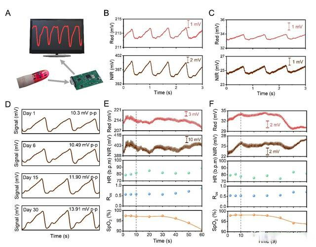 图3.皮肤集成的超柔性PPG传感器