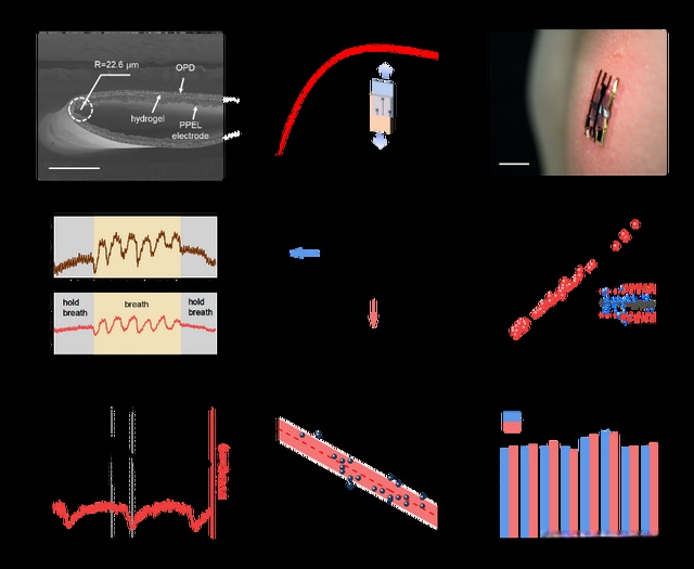 图4.皮肤集成的PPG-ECG多模传感系统