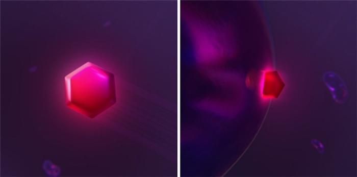 MitoQ®️分子示意图，图片来自MitoQ