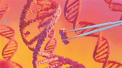 上图 DNA碱基编辑（示意图）。