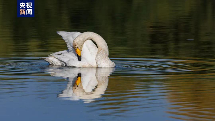 图源：央视新闻