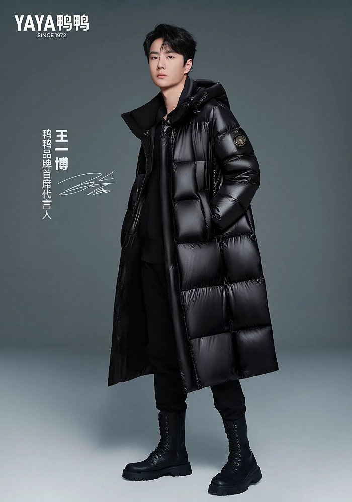 goose鹅绒服图片