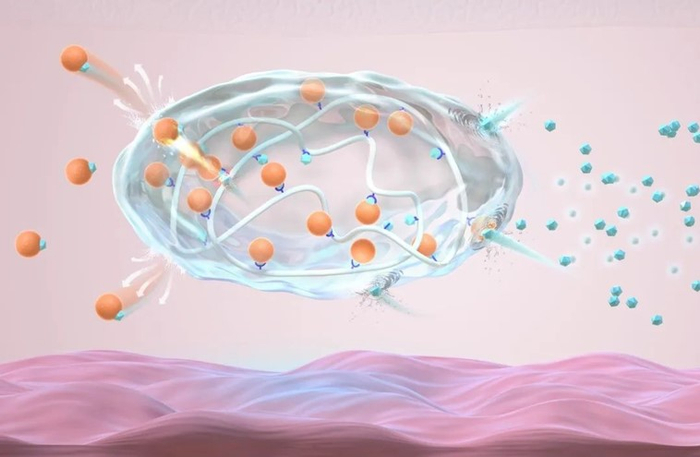 长效智能胰岛素制剂释药概念图：打入皮下的长效智能胰岛素制剂可以在血糖升高时快速释放胰岛素，稳定血糖。