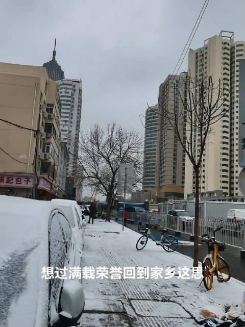 天津下雪图片大全图片