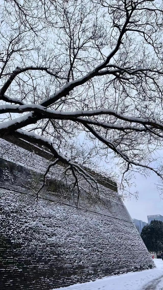 河北邯郸下雪图片