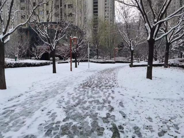 河北多地下雪҈ 雪҈ 雪҈ 了!|邯郸市|石家庄市|下雪_新浪新闻