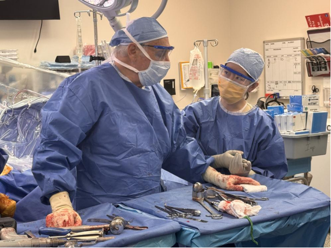 图 牛晶医生在HSS交流学习