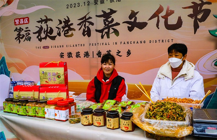 芜湖市繁昌区第二届荻港香菜文化节开幕