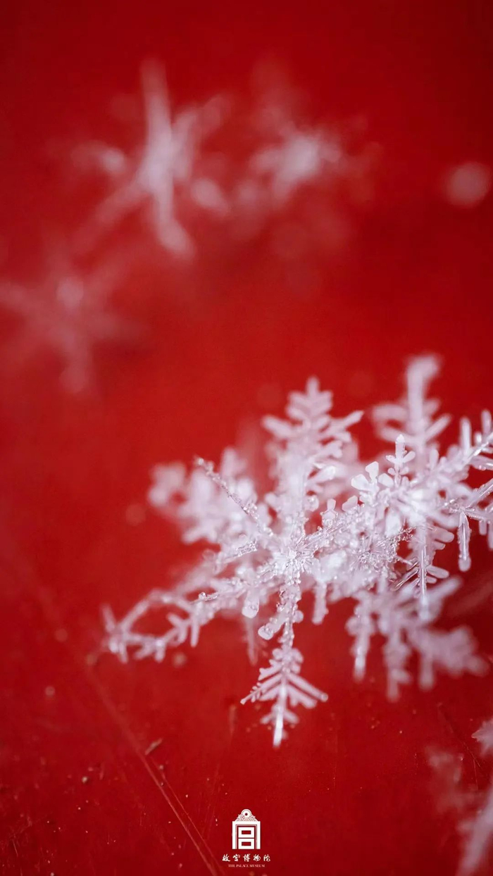 总有一场雪,为你而来|江南_新浪新闻
