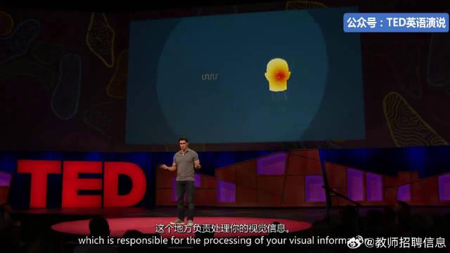 ted演讲当你集中注意力的时候大脑会发生什么